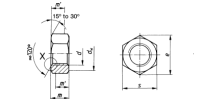 Hexagon Nut